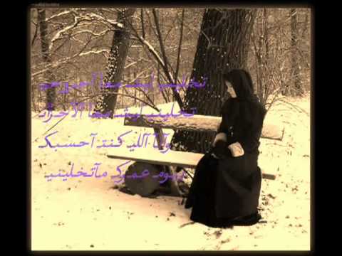 لقى غيري ولا همه حامد زيد