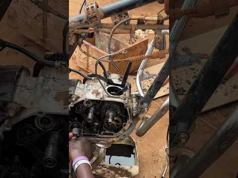 Let S Help Them Community Viralvideo World Let S Help Them Community Viralvideo World