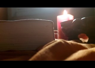 حكايات من دفتر الوطن صلاح عيسي