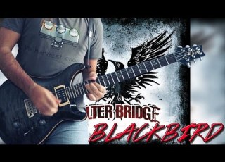 Danilo Blackbird Solo Alter Bridge Cover