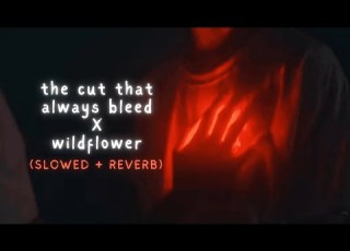 The Cut That Always Bleed X Wildflower Conan Gray X Billie Eilish Slowed Reverb