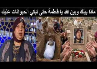 The Cat Of Artist Fatima Koshary Made Those Present Weep With Sorrow For Her Throwing Itself Int