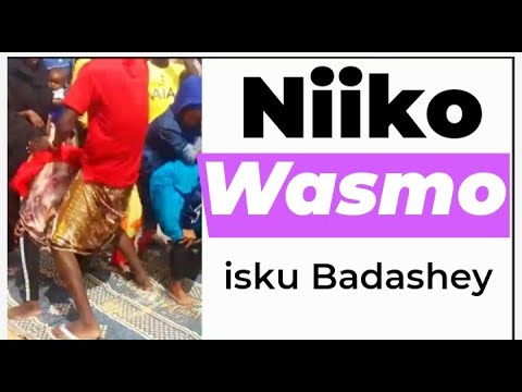 NIIKO WASMO AH JAAM WALAN KALA KICIS DAAWO Wasmo Live