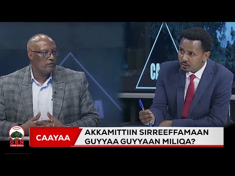 Caayaa Guyyaatti Birrii 41 Qofa Arganna Sirreeffamtoota Seeraa
