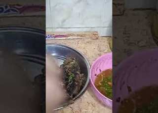 في المغربيه راح نفطر