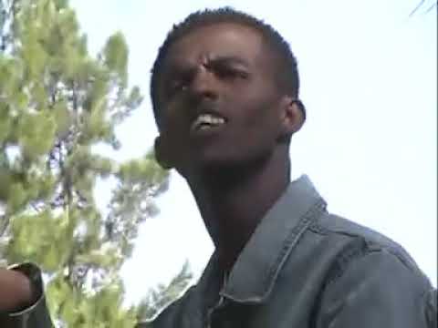 Kaleessaa Gargaartee Na Fiddee Tamaam Faaris