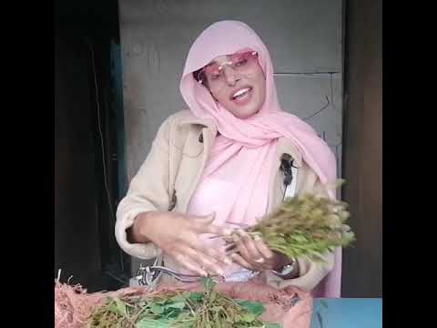 أمينة أجمل وأشهر بائعة قات في العاصمة الإثيوبية أديس أبابا