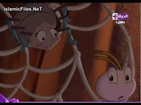 قصص الحيوان فى القران الحلقه 30 عنكبوت الغار