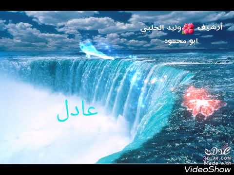 عادل خضور حفله المخيم