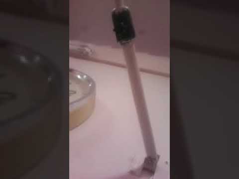 دعاء العيد الشيخ محمود محمد المسلماني ابن قرية عرب الحلفة فاقوس شرقية مصر 1