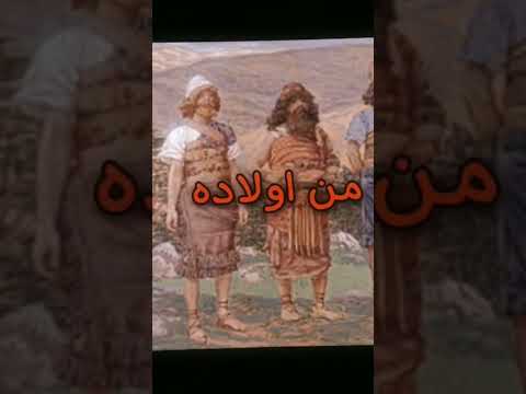 الارجوزة المحبرة في التاريخ