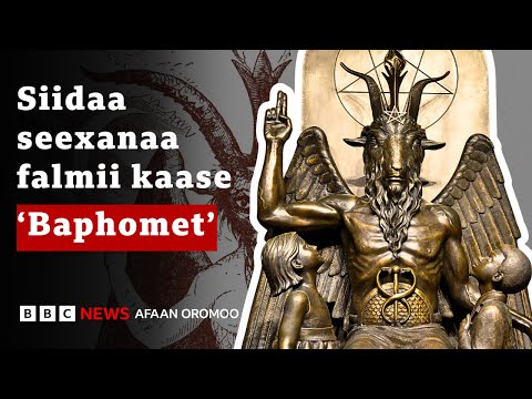 Siidaan Seexanaa Kun Hiikni Isaa Maali Maaliif Falmii Kaase BBC News Afaan Oromoo