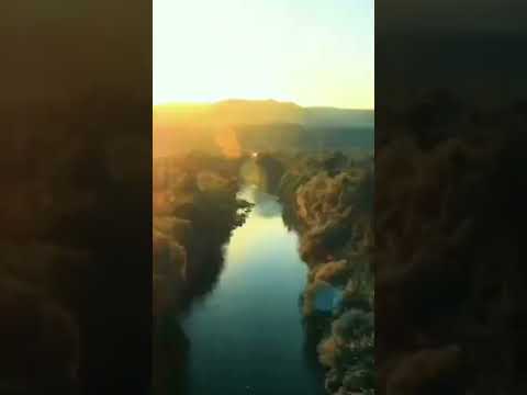 حبيبي صباح الخير صباحك ورد وفل ولوز