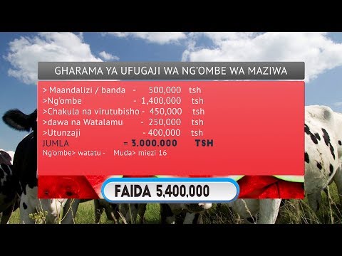 UFUGAJI WA NG OMBE KIBIASHARA