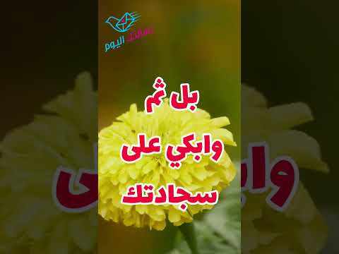 لا تبكى