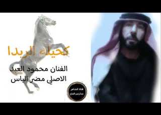 كحيلة الربدا دبكات الفنان محمود العبد ابو جلال خيل العاكوب 2025 قناة الشاعرعبدالرحمن العماي