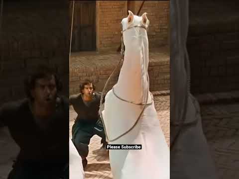 Hrithik Roshan Best Scene Hrithik Roshan 31 Mohenjo Daro Best Scene Hrithikroshan