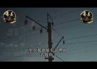  抖音歌 舍不得又沒資格 She Bu De You Mei Zi Ge 老板 Chinese Song
