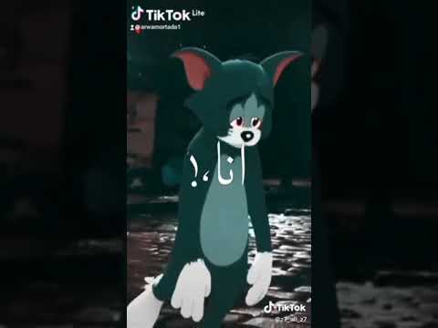 يامايا وحشاني كلمه ي ضنايا