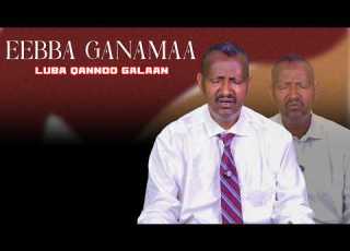  Eebba Ganamaa Luba Qannoo Galaan Waliin 798