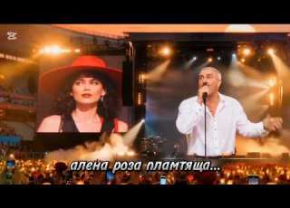  Алена роза пламтяща роза бузуки и соло китара