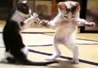 الحلة على البابور عشى عيالك YouTubevia Torchbrowser Com