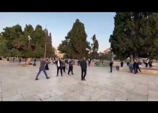  باحات الأقصى مع شروق شمس اليوم