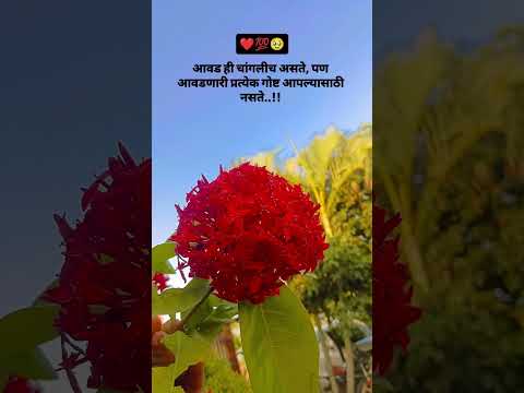 आवड ह च गल च असत पण आवडण र प रत य क ग ष ट आपल य स ठ नसत