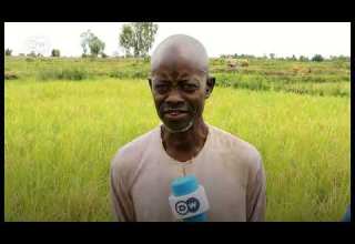 Bayan Matsalar Tsaro Sai Ga Tsuntsaye Sun Lalata Amfanin Gona