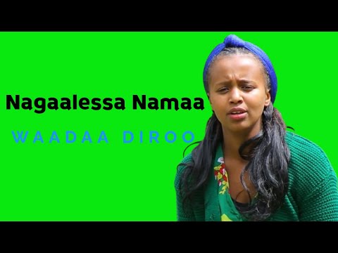 Waadaa Diroo Nagaalessa Namaa Sirba Jaalalaa Dhugaa