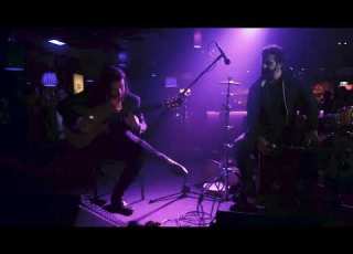 Zorro Live The Night Cat May 2021