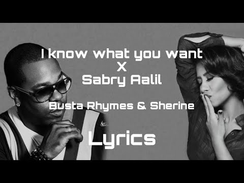 I Know What You Want X Sabry Aalil Lyrics