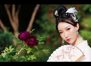  紫嘉儿 中国风版 极乐净土 舞蹈教程 动作分解教学