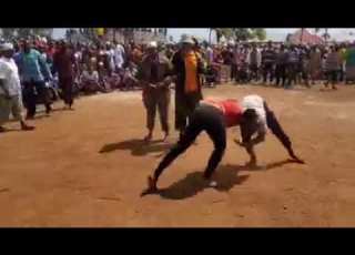  Mchezo Wa Ngware Mieleka Maziwa Ng Ombe Pemba