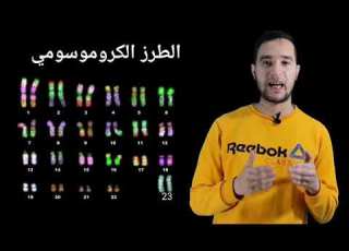 شرح درس الكروموسومات والنظرية الكروموسومية أحياء أولي ثانوي الترم الثاني عبد الرحمن الفرماوي