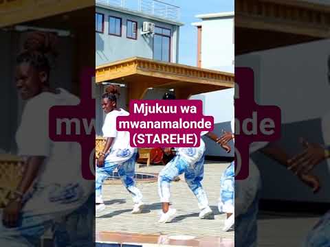 NEW OFFICIAL AUDIO Dance Greenscreen Music Funny