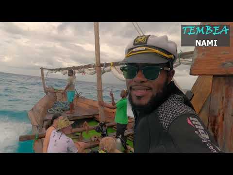 TEMBEA NAMI K7