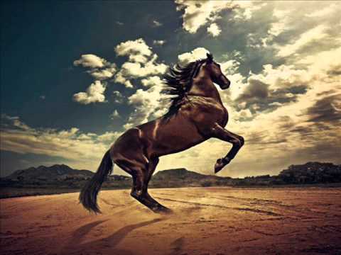 مهرجان ابن البلد غناء محمود الكومي نجم بهرمس والقناطر 2015