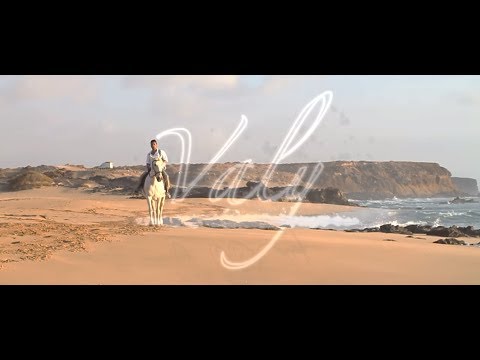 Valy Attan Dari Version