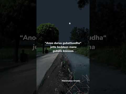 Mammaaksa Afaan Oromoo Afaan Oromoo