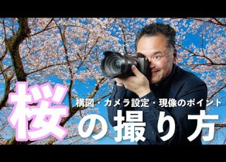  桜の写真撮影 構図のアイデアとカメラ設定のポイント RAW現像のコツまでご紹介します