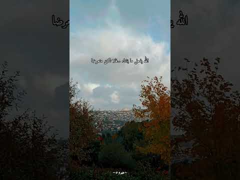 فلربما اتسع المضيق وربما ضاق الفضا