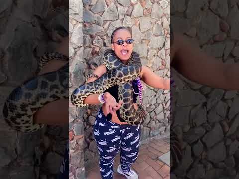 Zodwa Wabantu Shows Off Her Snake Ghostladymzansi