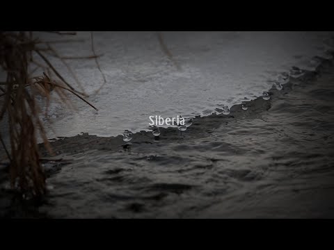 Aura Noctis Siberia Music Video