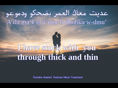 Mortadha Rayda Tunisian Lyrics English Translation مرتضى رايدة