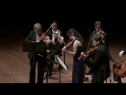 Vivaldi Concerto In F Major For Three Violins Strings And Continuo RV 551 I Allegro