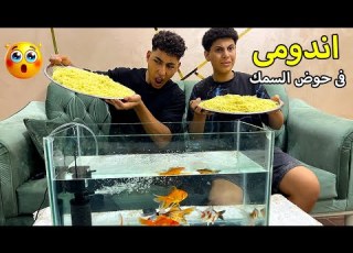 ولد يملئ حوض السمك بالاندومي لكي يتحدي صديقه