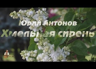Юрий Антонов Хмельная сирень FullHD