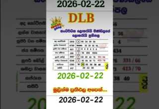 DLB LOTTERY RESULT 2026 02 22