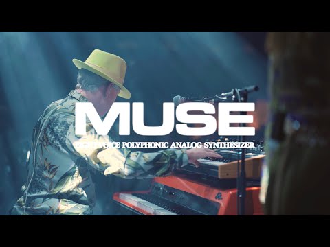Moog Muse Moog Einfluss Auf Matt Johnson Von Jamiroquais Neuem Soloalbum Jazz Café London